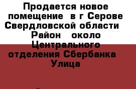 Продается новое помещение  в г.Серове Свердловской области › Район ­ около Центрального отделения Сбербанка › Улица ­ Заславского › Дом ­ 12 › Цена ­ 17 000 › Общая площадь ­ 869 - Свердловская обл., Серов г. Недвижимость » Помещения продажа   